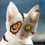 DeadlyKitten518's Avatar'