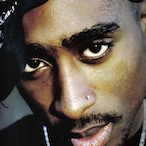 schepTheGod's Avatar'