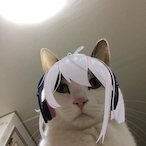 Ignia02's Avatar'