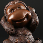 Copper__monkey's Avatar'