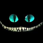 TwoFivesBOY's Avatar'