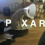 RG itsGIGN's Avatar'