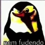 perry295's Avatar'