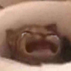 prof_beansprout's Avatar'
