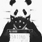 xX_killez_Xx's Avatar'