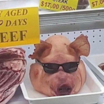 Big_bundy's Avatar'