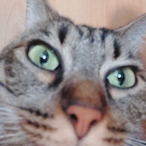 BomboGodSlayer's Avatar'