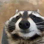 ApulMadeekoud's Avatar'