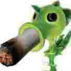 peanutbutathuga's Avatar'