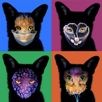 NeraEryr's Avatar'