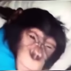 LukeS5310.brb's Avatar'