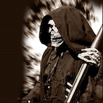 Velicion's Avatar'