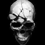 Blitz-Werk.exe's Avatar