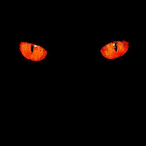 Hjt da server's Avatar'