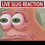 The_Person_Ever's Avatar'