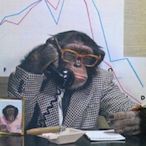 Marcrool's Avatar'