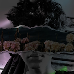 iq.tri's Avatar'