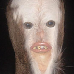 TTVBrandonn2k_'s Avatar'