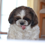 Butter_1's Avatar'