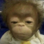 RaZe_Paana's Avatar'