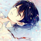 Destroy9560's Avatar'