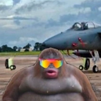 Donut_Breath's Avatar'