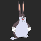 MSTRbigCHUNGUS's Avatar'
