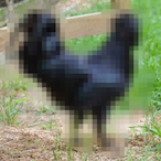 Klados23's Avatar'