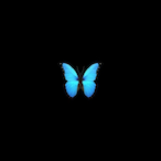 RaffSimons's Avatar'
