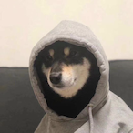 SharpEdges7's Avatar'