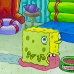 MrSquidwuurd's Avatar'