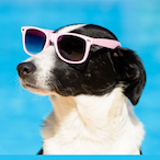 SmoothNeON's Avatar'