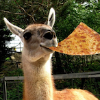 Alpacul's Avatar'