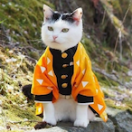 ZenitsuNeko's Avatar'