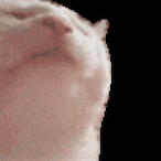 Swine.Unc's Avatar'