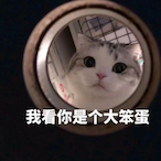 WAXIANSHENG's Avatar'