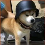 Wo.Yao.Yen.Pi__'s Avatar'
