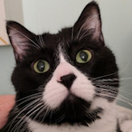 ObmarUbisoft's Avatar