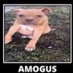 Christiphor's Avatar'