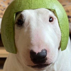 MrPewterschmdt's Avatar'