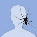 jq9's Avatar'