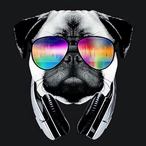 Chersoni's Avatar'