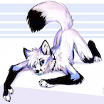 DRACC45's Avatar'