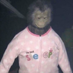 MonkyBaIIz's Avatar'
