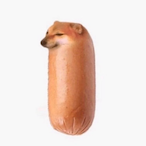 hotdoooooog's Avatar'