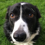 CyCoJacK-_-'s Avatar'