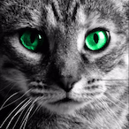 BRAKSOMAR's Avatar'
