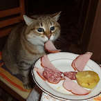 salami..'s Avatar'