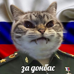 spinpeakqn's Avatar'