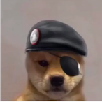 Stultus...'s Avatar'